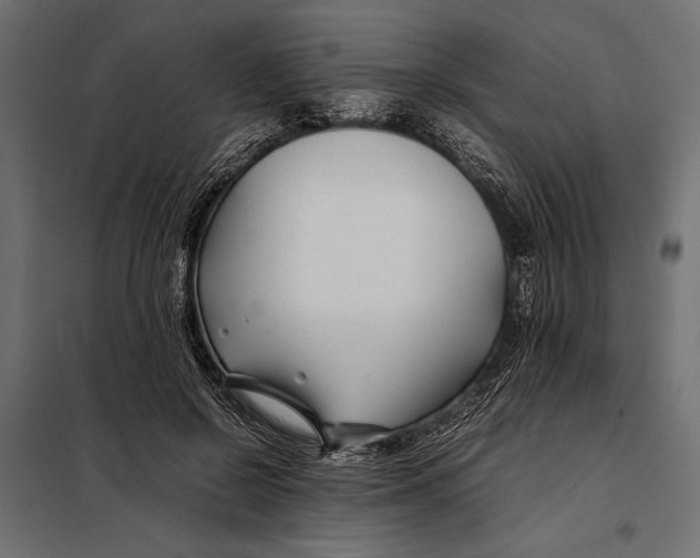 X0000098080550200804251515