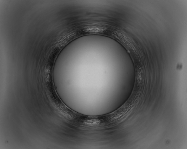 X0000098080551200804251515