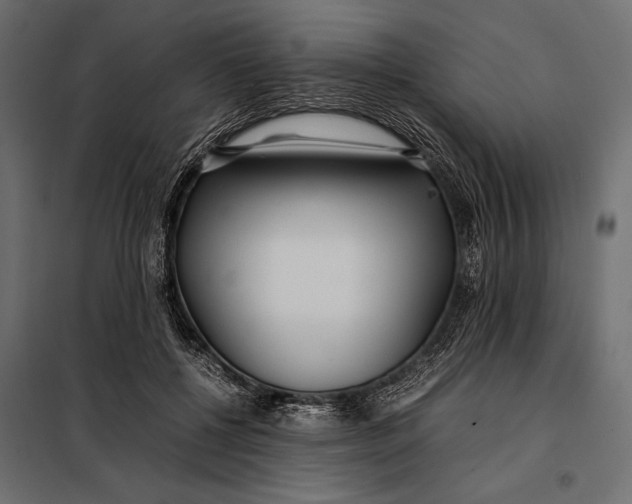 X0000098080552200804251516