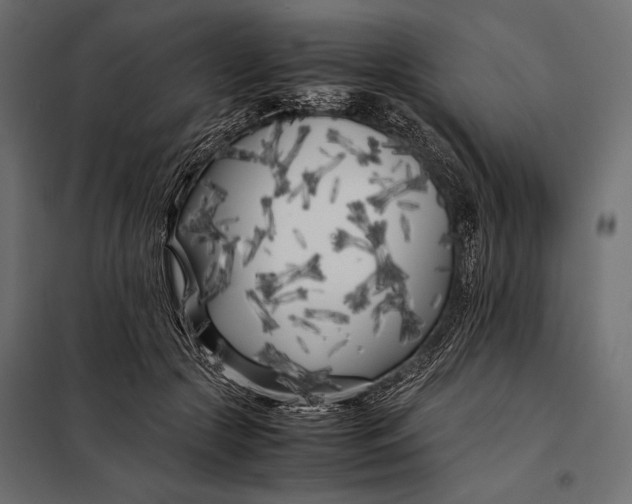 X0000098080553200804251516