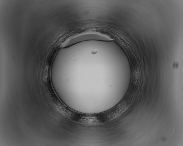 X0000098080554200804251516