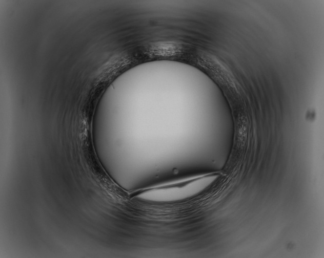 X0000098080555200804251516