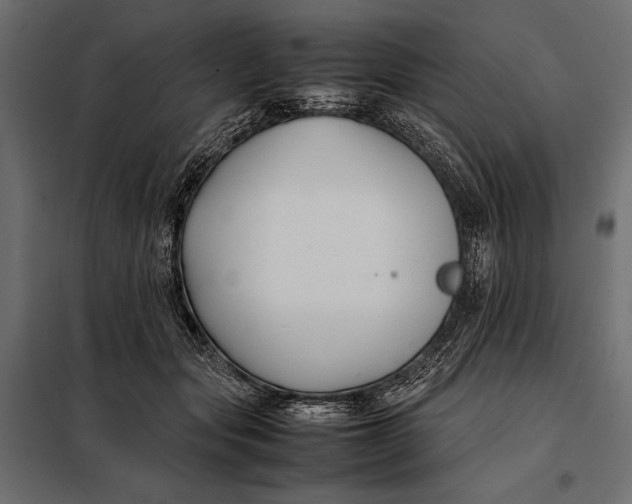 X0000098080557200804251516