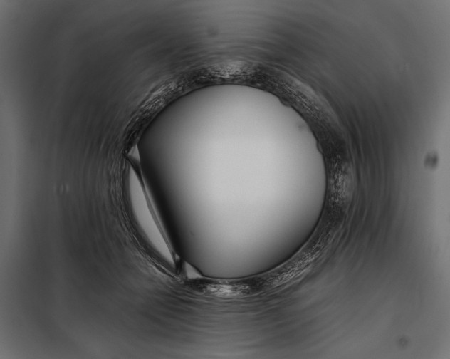 X0000098080558200804251516