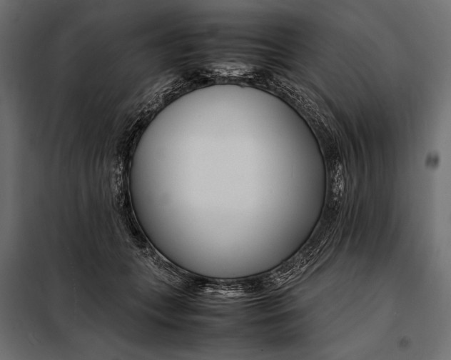 X0000098080559200804251516