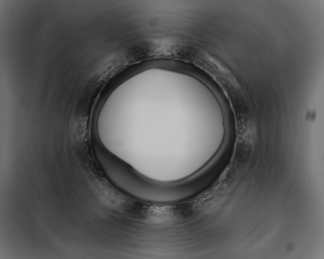 X0000098080560200804251516