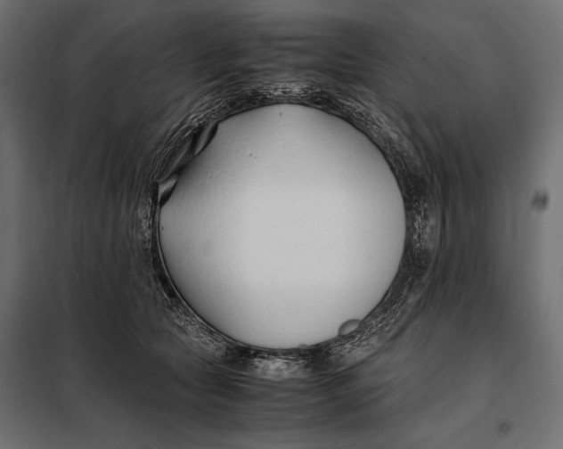 X0000098080561200804251516