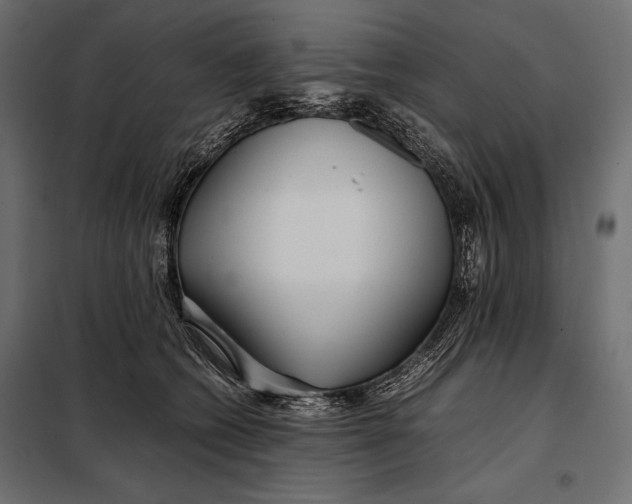 X0000098080562200804251516