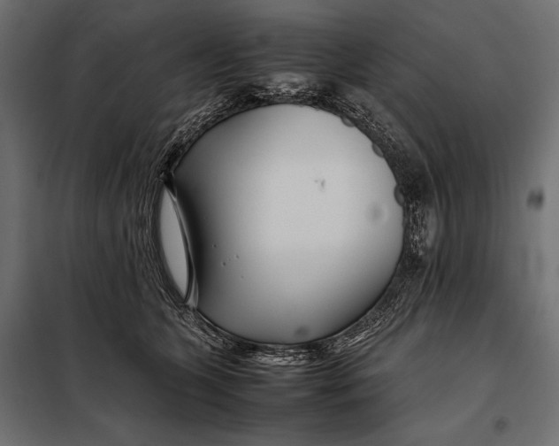 X0000098080563200804251516