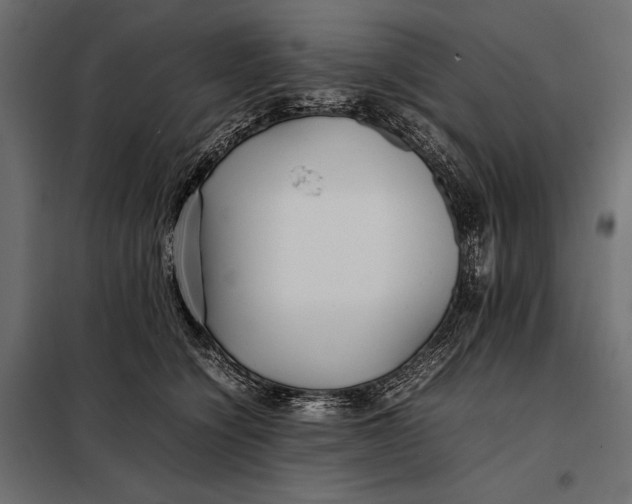 X0000098080564200804251516