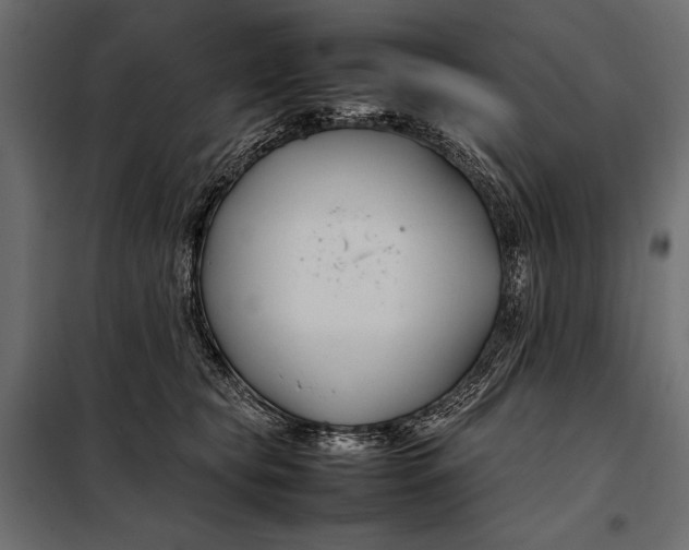 X0000098080565200804251516