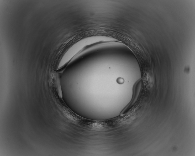 X0000098080566200804251516