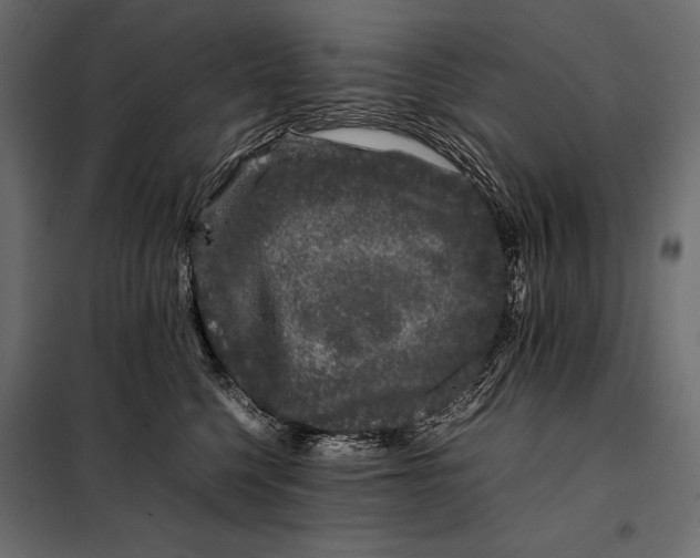 X0000098080568200804251516