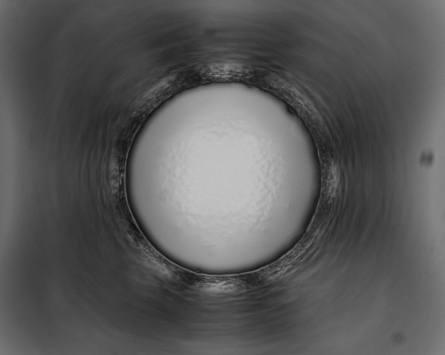 X0000098080569200804251516