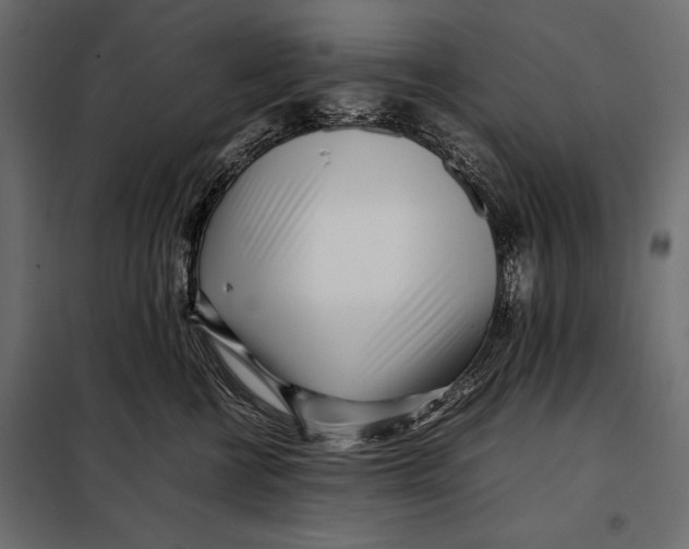 X0000098080570200804251516