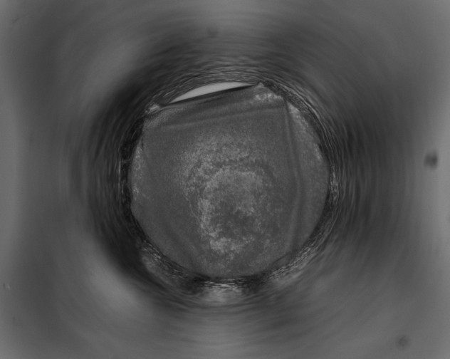 X0000098080572200804251516