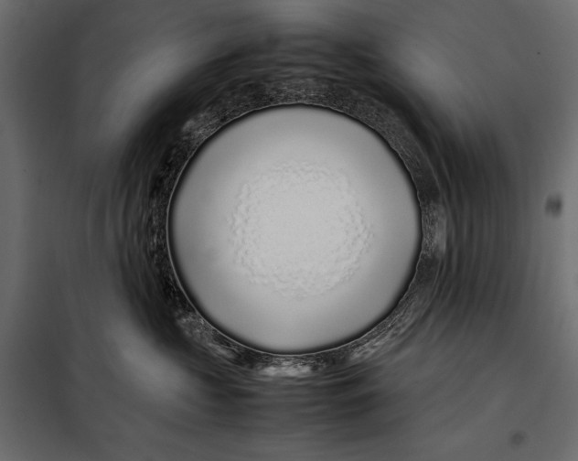 X0000098080573200804251516