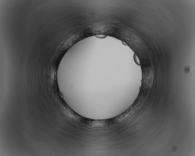 X0000098080574200804251516