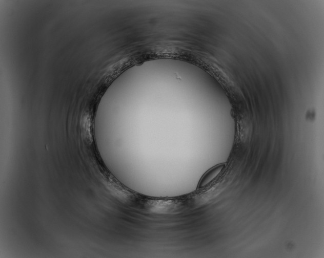 X0000098080575200804251516