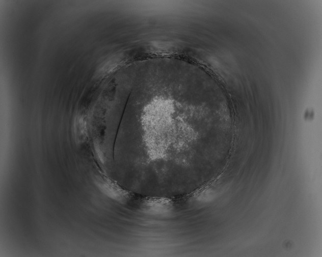 X0000098080576200804251516