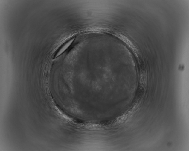 X0000098080577200804251515