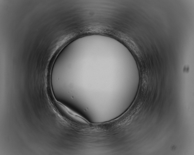 X0000098080578200804251515