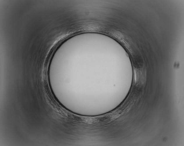 X0000098080579200804251515