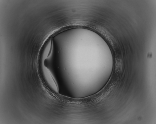 X0000098080580200804251515