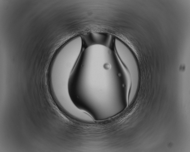 X0000098080581200804251515