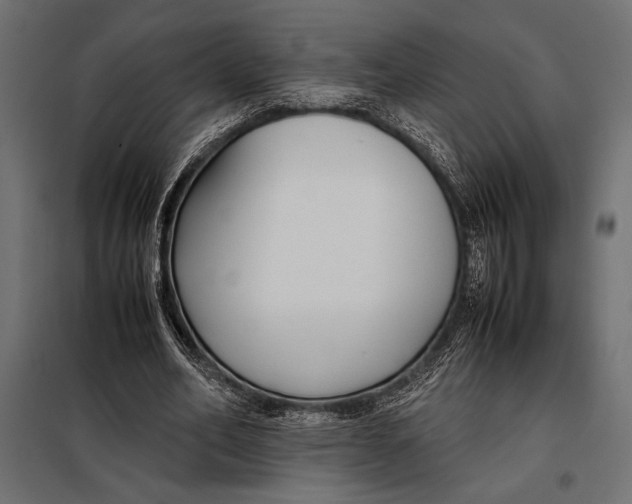 X0000098080582200804251515