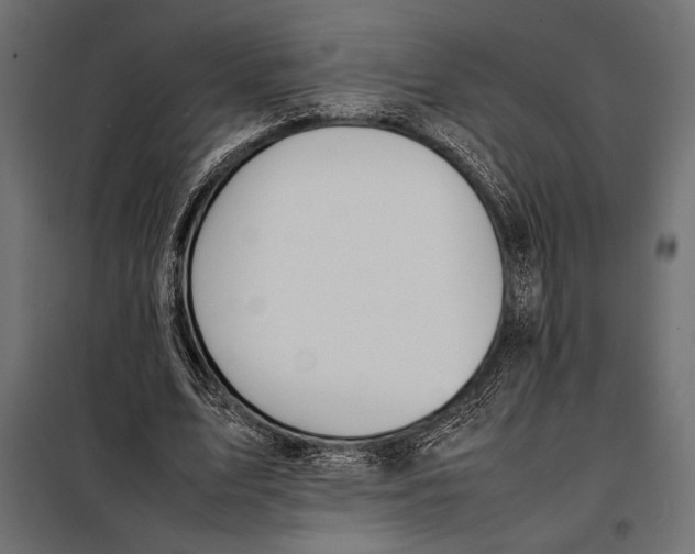 X0000098080583200804251515