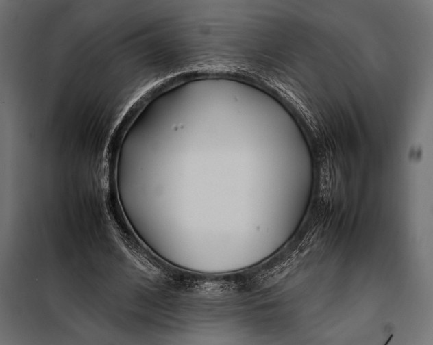 X0000098080584200804251515