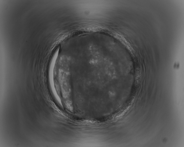 X0000098080585200804251515