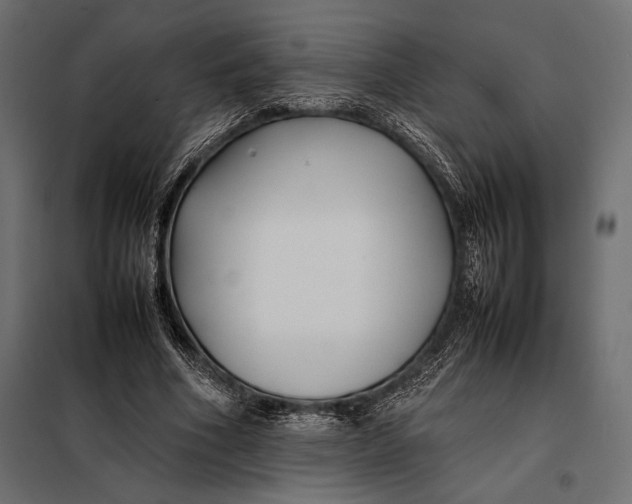 X0000098080586200804251515