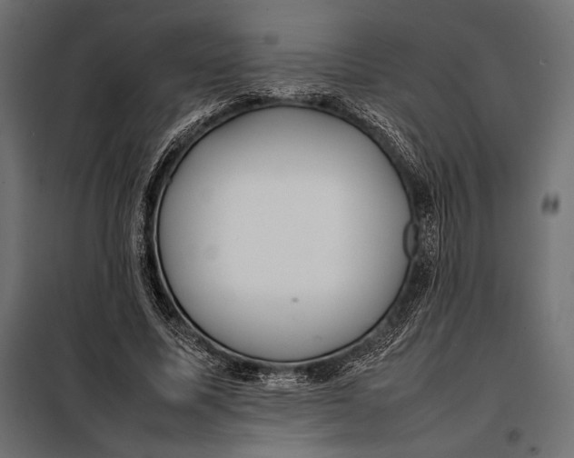 X0000098080587200804251515