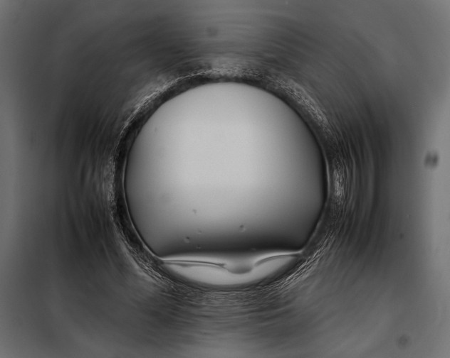 X0000098080588200804251515