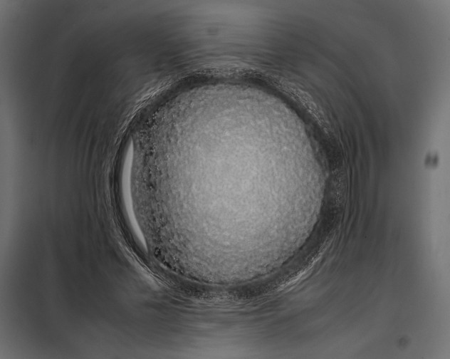 X0000098080589200804251515