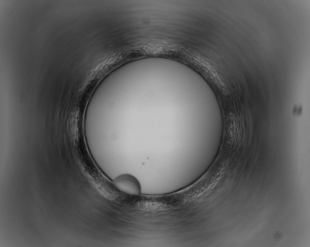 X0000098080590200804251515