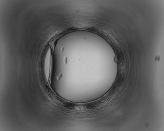 X0000098080591200804251515