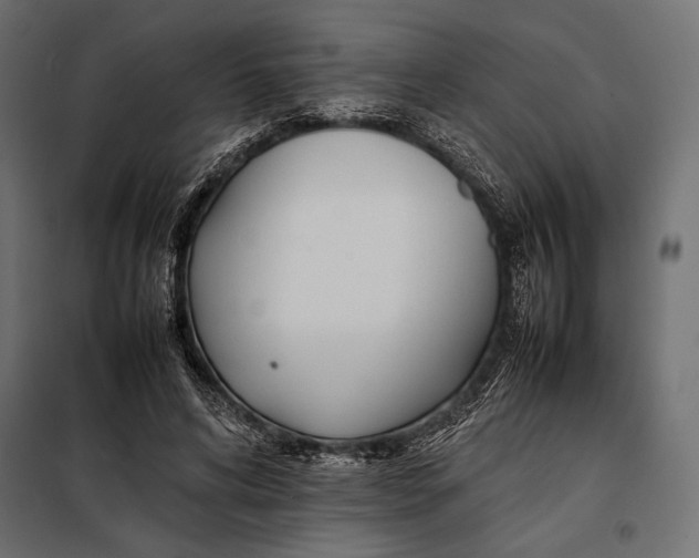 X0000098080592200804251515