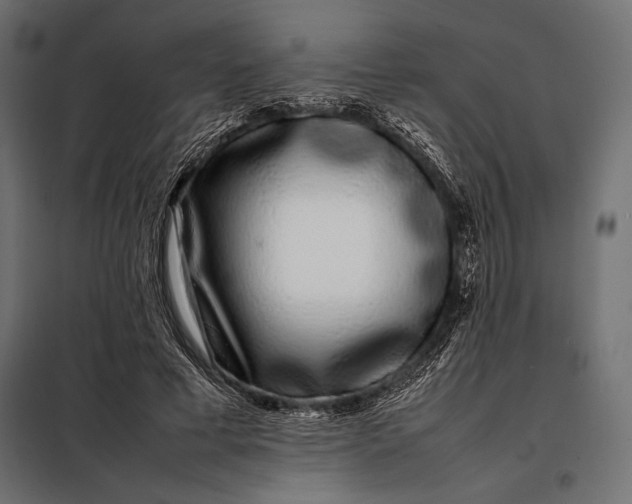 X0000098080593200804251515