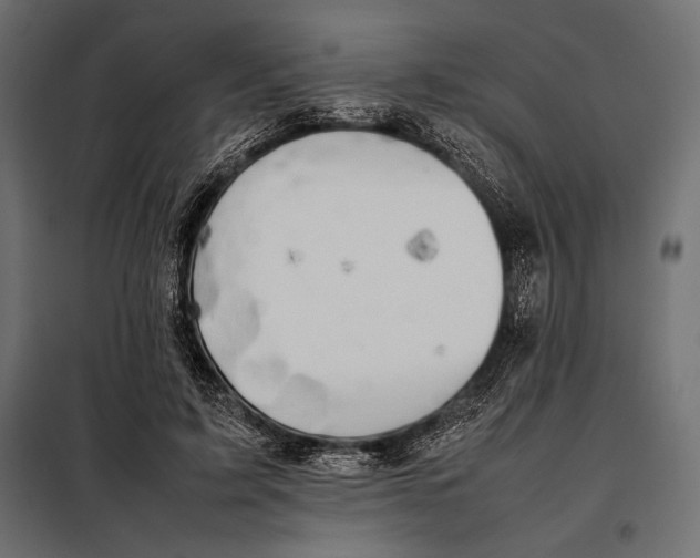 X0000098080595200804251515