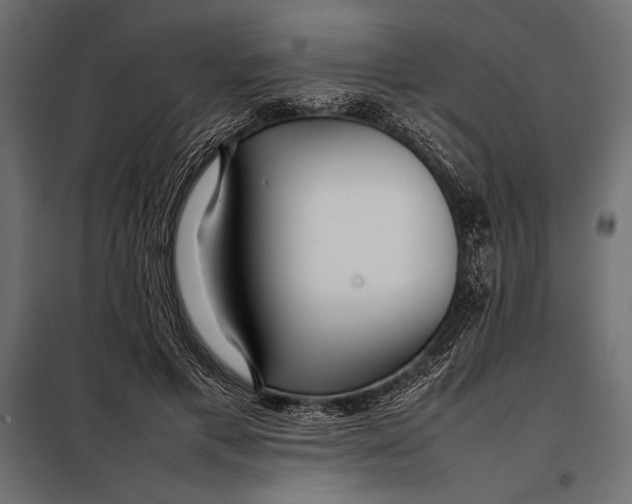 X0000098080597200804251515