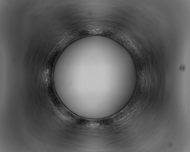 X0000098080598200804251515