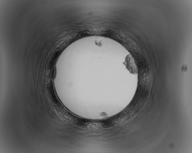 X0000098080599200804251515