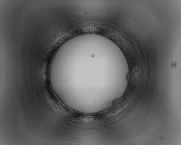 X0000098080600200804251515