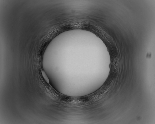 X0000098080601200804251515