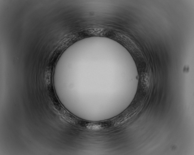 X0000098080602200804251515