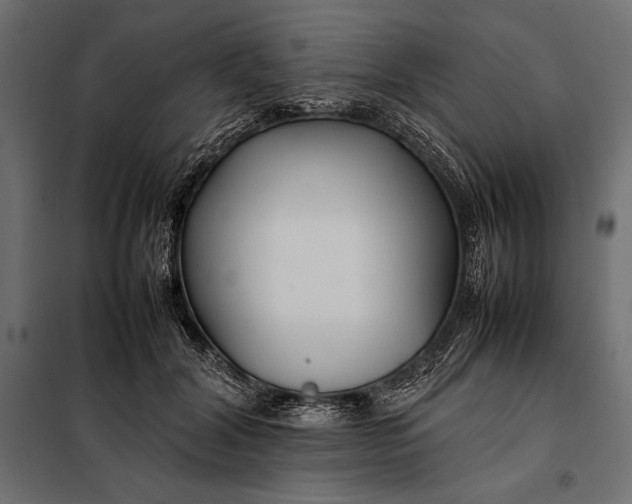 X0000098080604200804251515