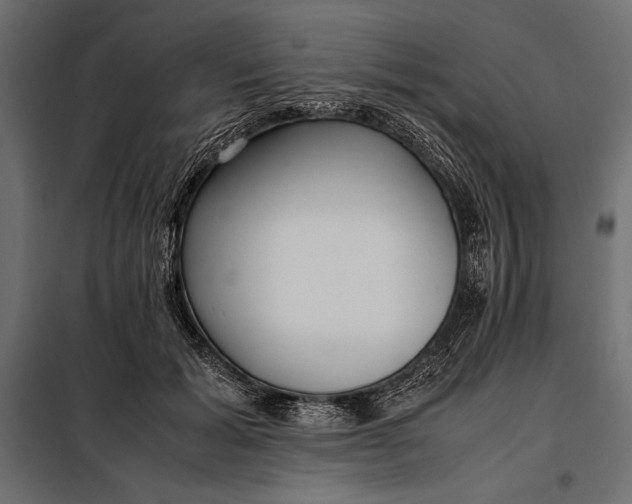 X0000098080605200804251515